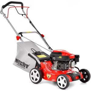 Hecht-541-SW